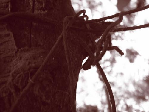 Fotografia de crearcom - Galeria Fotografica: 