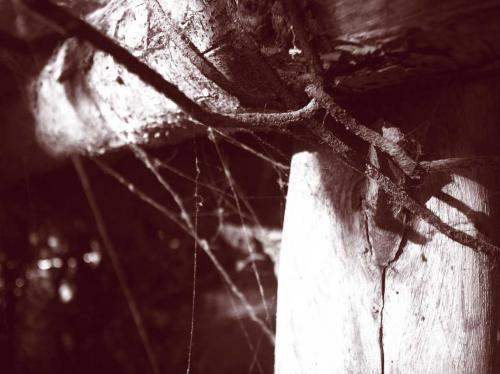 Fotografia de crearcom - Galeria Fotografica: 