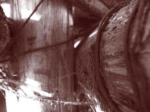 Fotografia de crearcom - Galeria Fotografica: 