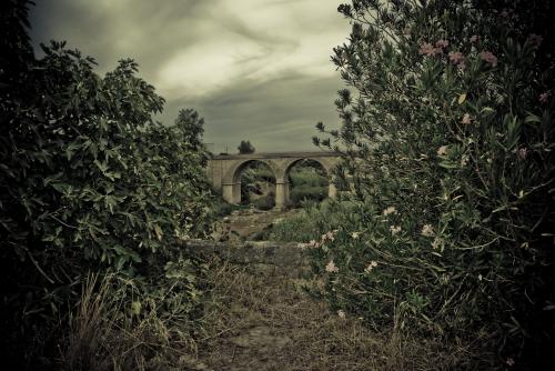 Fotografia de Ricard - Galeria Fotografica: Varias - Foto: Paisaje 1