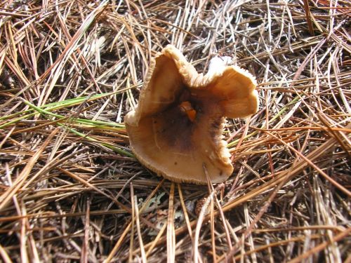 Fotografia de Fotografia JRGC - Galeria Fotografica: paisajes - Foto: 