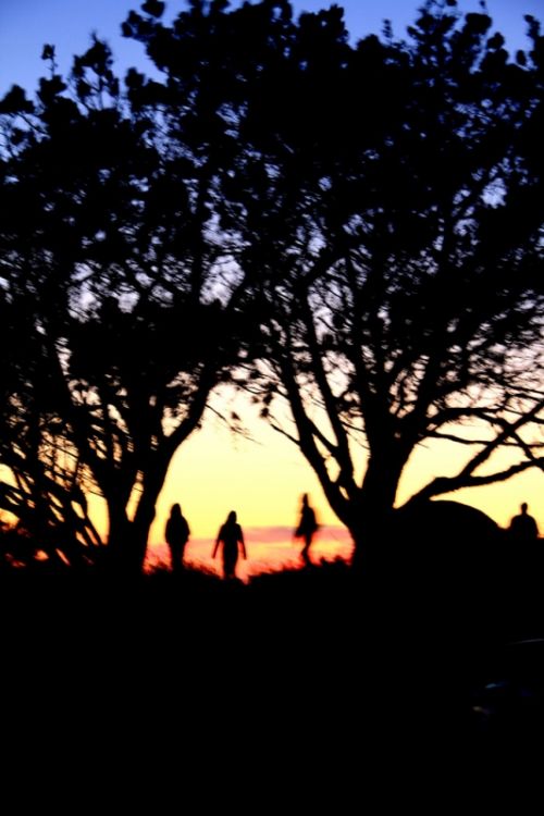 Fotografia de estudiante - Galeria Fotografica: belleza - Foto: 