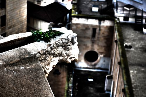 Fotografia de Jose Foto - Galeria Fotografica: El Fadri - Foto: 