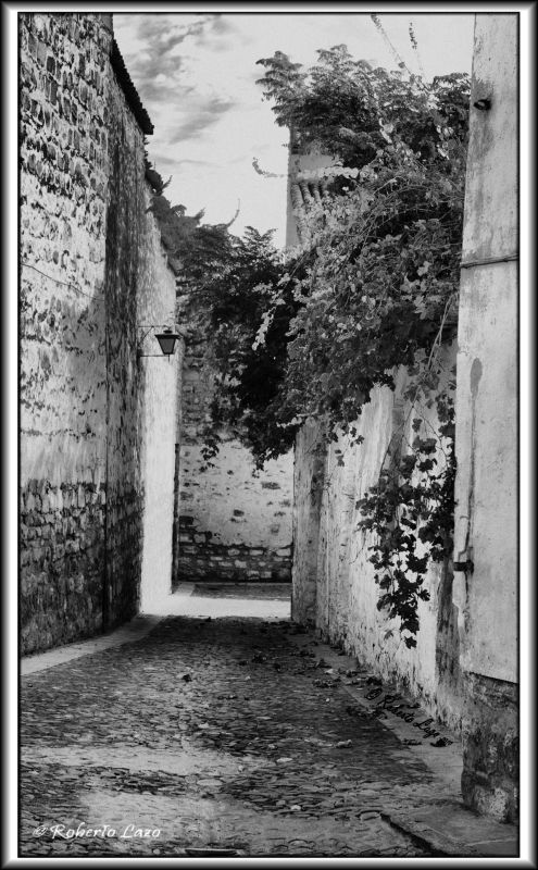 Fotografia de Roberto Lazo - Galeria Fotografica: Encuentros compartidos - Foto: Hervas