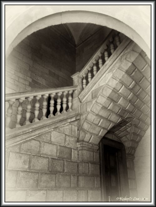 Fotografia de Roberto Lazo - Galeria Fotografica: Encuentros compartidos - Foto: 