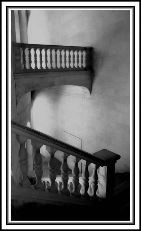 Fotografia de Roberto Lazo - Galeria Fotografica: Encuentros compartidos - Foto: 