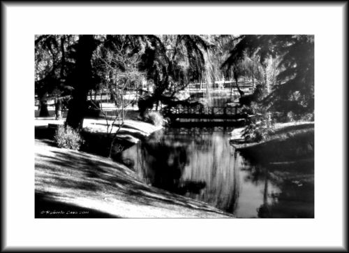 Fotografia de Roberto Lazo - Galeria Fotografica: Encuentros compartidos - Foto: Rincon Zen