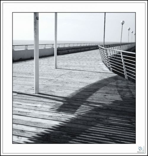 Fotografia de Roberto Lazo - Galeria Fotografica: Encuentros compartidos - Foto: Paseo y sombras