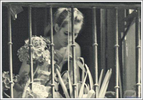 Fotografia de Roberto Lazo - Galeria Fotografica: Encuentros compartidos - Foto: Cuidando su jardin