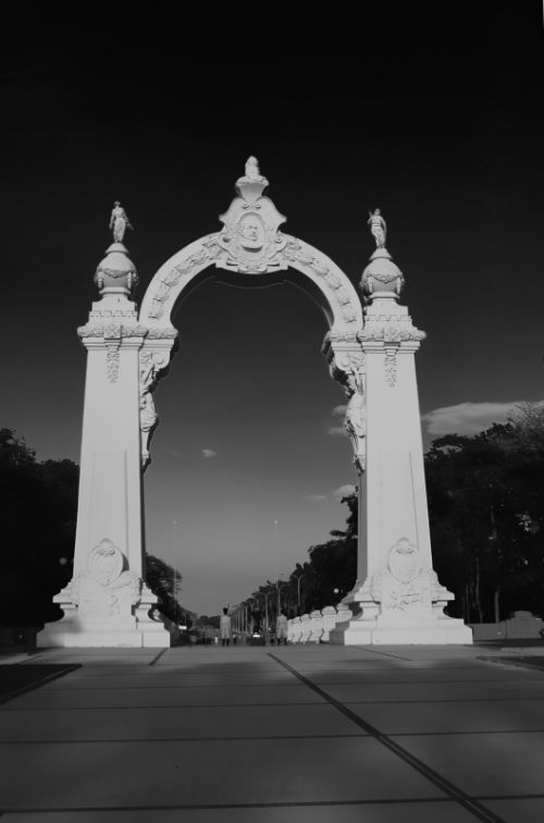 Fotografia de Zullian - Galeria Fotografica: Flamingos - Foto: 