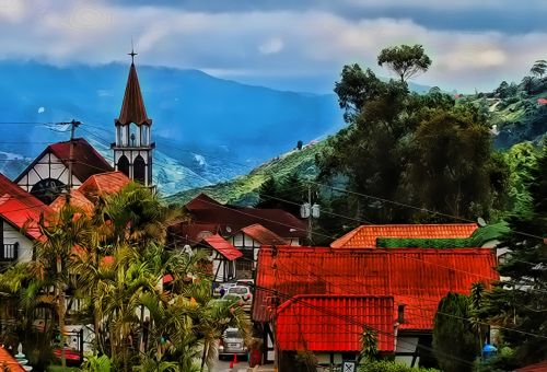 Fotografia de Zullian - Galeria Fotografica: Flamingos - Foto: 