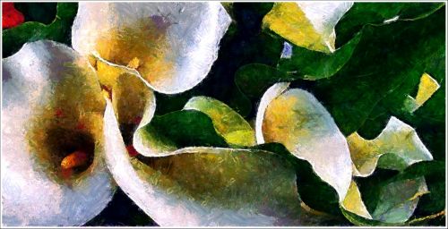 Fotografia de Zullian - Galeria Fotografica: Flamingos - Foto: 