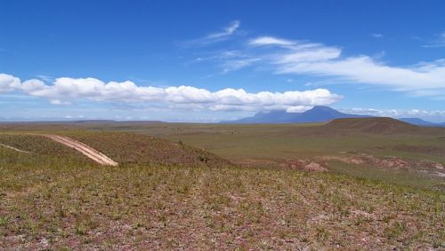 Fotografia de Zullian - Galeria Fotografica: Flamingos - Foto: 