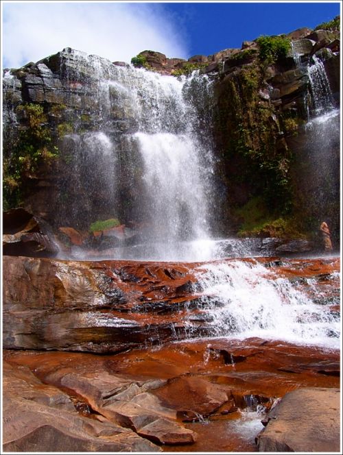 Fotografia de Zullian - Galeria Fotografica: Flamingos - Foto: 