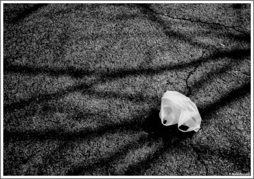 Fotografia de Roberto Lazo - Galeria Fotografica: Encuentros compartidos - Foto: Atrapada en la sombra