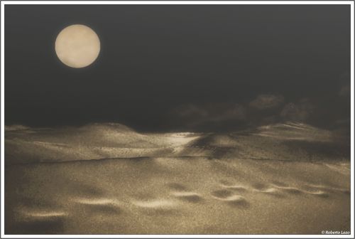 Fotografia de Roberto Lazo - Galeria Fotografica: Encuentros compartidos - Foto: Pasos de Luna