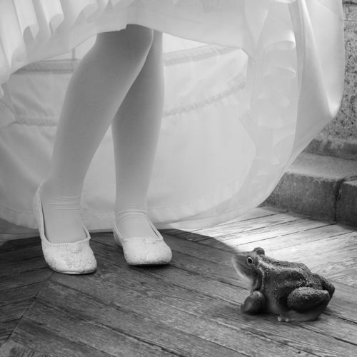 Fotografia de Daniel Ramn Fotografa - Galeria Fotografica: Portfolio Profesional - Foto: 