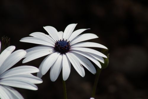 Fotografia de jak hard - Galeria Fotografica: pruebas - Foto: 