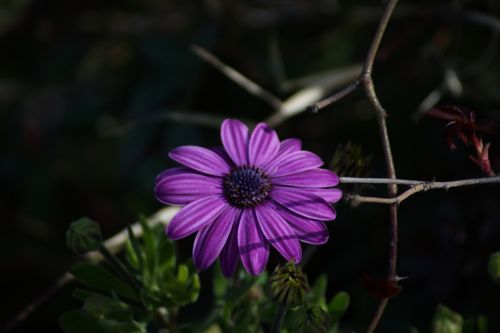 Fotografia de jak hard - Galeria Fotografica: pruebas - Foto: 