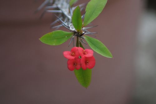 Fotografia de jak hard - Galeria Fotografica: pruebas - Foto: 