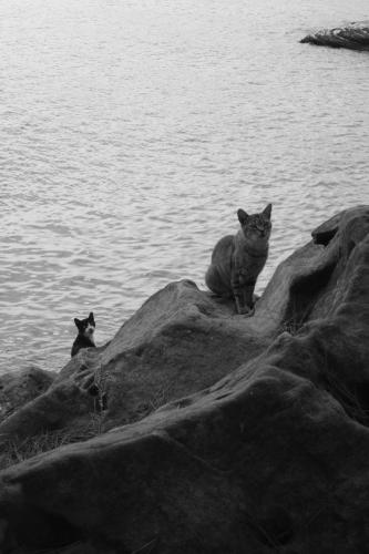 Fotografia de josep - Galeria Fotografica: Pas vasco - Foto: una mirada