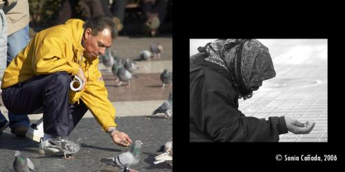 Fotografia de Sonia Caada - Galeria Fotografica: Duets - Foto: Pagina 4