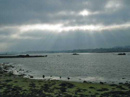 Fotografia de ALFREDO - Galeria Fotografica: FREDY.....MARBELLA - Foto: LA TOJA EN CALMA