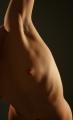 Fotos de Manel Garcia -  Foto: Mis visiones del desnudo (III) - Expresin corporal
