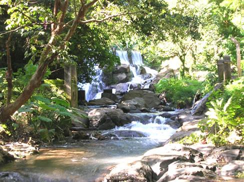 Fotografia de fany - Galeria Fotografica: monterrey - Foto: cascada de monterrey								