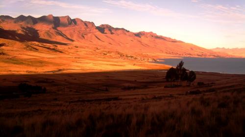 Fotografia de darwin - Galeria Fotografica: luces - Foto: 	desde el bus							