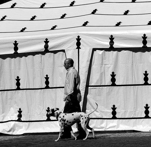 Fotografia de canecillo2 - Galeria Fotografica: Paseando al perro - Foto: De 101 manchas