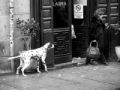 Foto de  canecillo2 - Galería: Paseando al perro - Fotografía: Esperando al amo