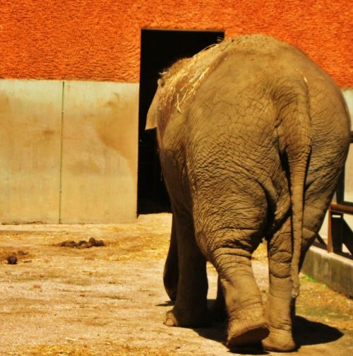 Fotografia de Majo Diaz - Galeria Fotografica: Animales - Foto: 