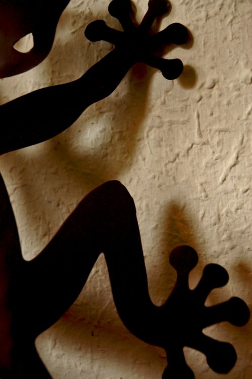 Fotografia de Majo Diaz - Galeria Fotografica: Texturas - Foto: 