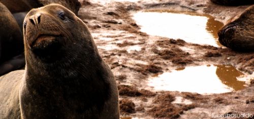 Fotografia de Lucas Basualdo photography - Galeria Fotografica: Misc - Foto: 