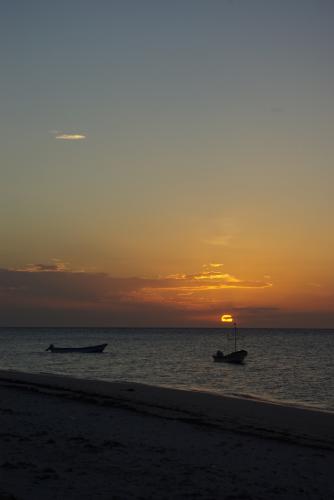 Fotografia de galin - Galeria Fotografica: primeros pasos - Foto: atardecer 19:41