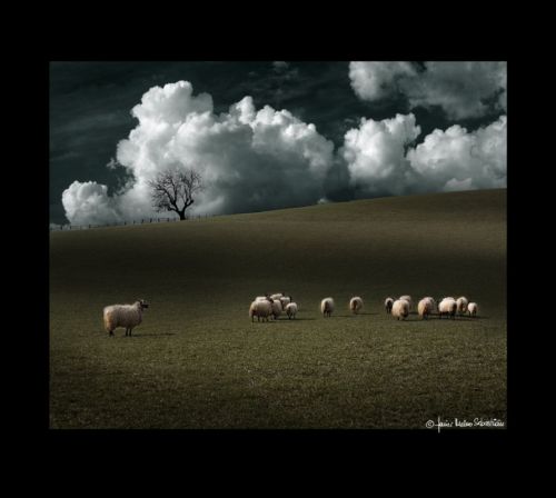 Fotografia de JaMS - Javier Melero - Galeria Fotografica: Playa Azul - Foto: 