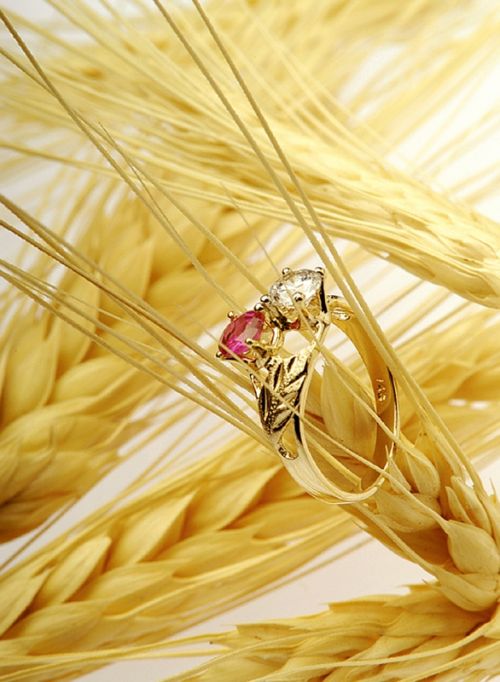 Fotografia de MG PHOTO - Galeria Fotografica: PRESENTACION - Foto: 