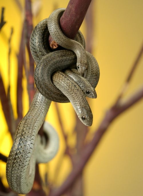 Fotografia de MG PHOTO - Galeria Fotografica: PRESENTACION - Foto: 