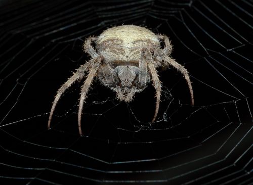 Fotografia de MG PHOTO - Galeria Fotografica: PRESENTACION - Foto: 