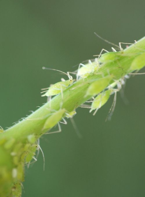 Fotografia de MG PHOTO - Galeria Fotografica: PRESENTACION - Foto: 