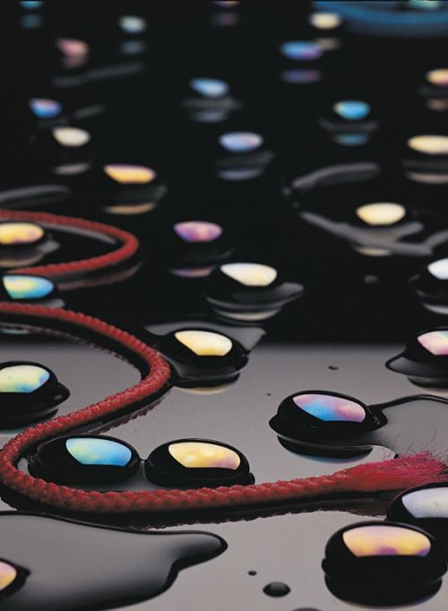 Fotografia de MG PHOTO - Galeria Fotografica: PRESENTACION - Foto: 