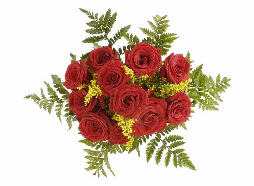 Fotografia de MG PHOTO - Galeria Fotografica: PRESENTACION - Foto: 