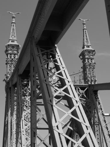 Fotografia de Raquel - Galeria Fotografica: Viajar es un placer - Foto: Puente de Hierro en Budapest