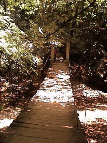 Fotografia de Lourdes - Galeria Fotografica: El que preste sus ojos, podr mirar donde le guste - Foto: solo se estar conmigo misma