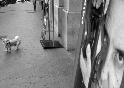 Fotografia de CAMERON - Galeria Fotografica: EL OBSERVADOR - Foto: 