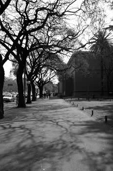 Fotografia de Oliver Echeverra - Galeria Fotografica: BsAs/09 - Buenos Aires/Setiembre - Foto: Caminando