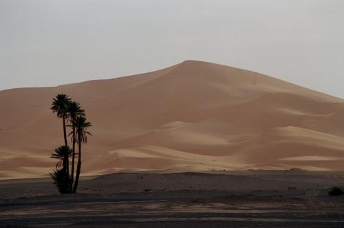 Fotografia de pincho - Galeria Fotografica: MARRUECOS - Foto: sahara
