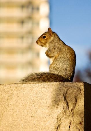 Fotografia de LOBOP - Galeria Fotografica: The City - Foto: 
