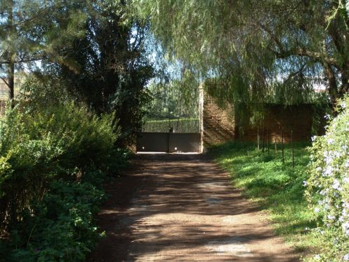 Fotografia de Justo Florian - Galeria Fotografica: Visiones - Foto: Soledad